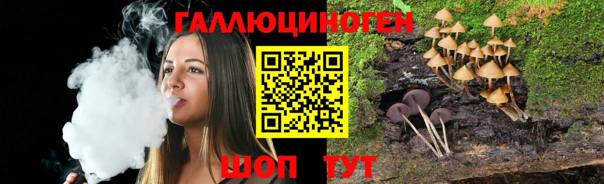 Галлюциногенные грибы Psilocybe Туапсе